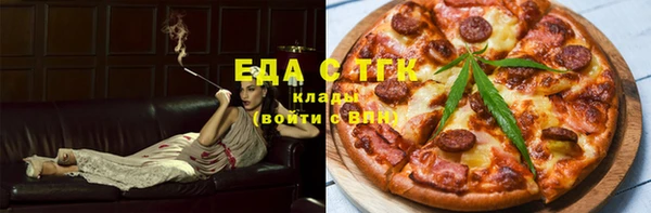индика Володарск