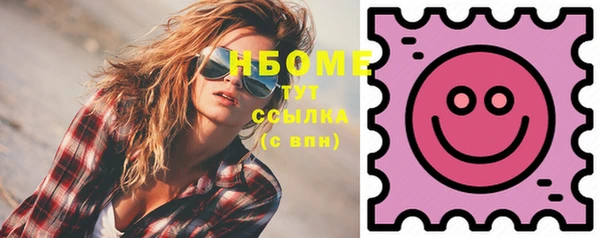 индика Володарск
