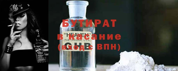 индика Володарск