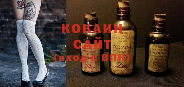 индика Володарск