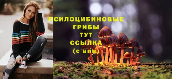 дживик Верхний Тагил