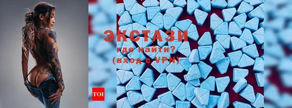 индика Володарск