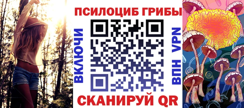 omg ссылки  Кингисепп  Галлюциногенные грибы Psilocybine cubensis  где найти наркотики 